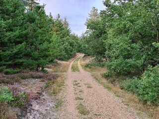 Vakantiehuis Henne Strand  19