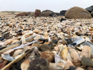 Vakantiehuis Blåvand  17