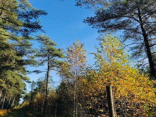 Holiday house Thorup Strand  6