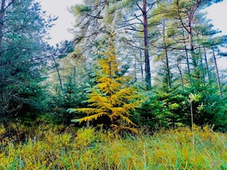 Casa de vacaciones Thorup Strand  7