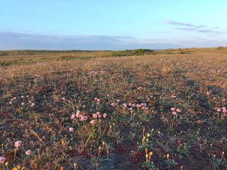 Vakantiehuis Thorup Strand  31