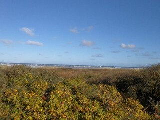 Ferienhaus Tversted  33