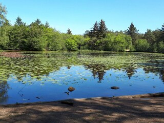 Maison de vacances Tversted  45