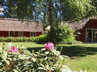 Vakantiehuis Blåvand  43