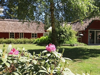 Vakantiehuis Blåvand  8