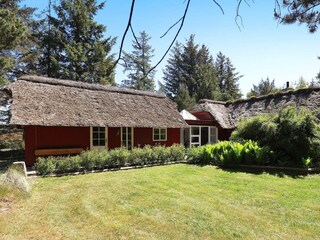 Vakantiehuis Blåvand  36