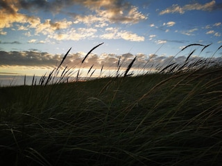 Maison de vacances Blåvand  31