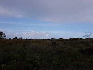 Ferienhaus Bratten Strand  32