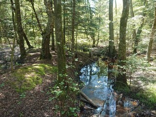 Casa per le vacanze Skiveren  39