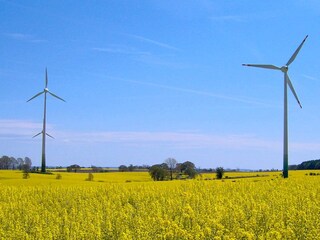 Casa de vacaciones Grömitz  26