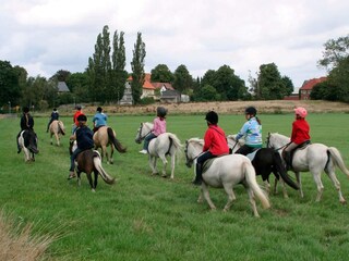 Vakantiehuis Grömitz  16