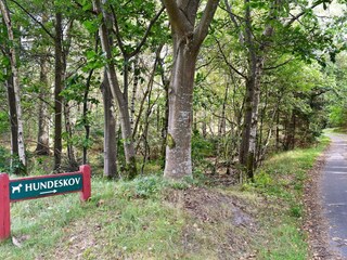 Holiday house Fjand  21