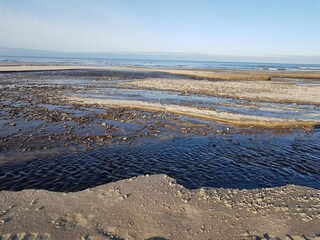 Vakantiehuis Tranum Strand  22