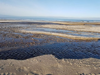 Vakantiehuis Tranum Strand  38