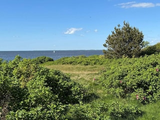 Ferienhaus Skaven Strand  9