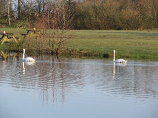 Maison de vacances Skaven Strand  40