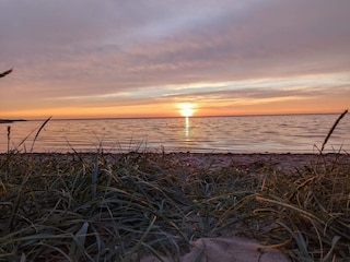 Ferienhaus Skaven Strand  42