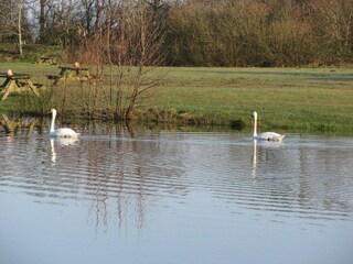 Vakantiehuis Skaven Strand  9