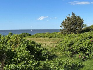 Vakantiehuis Skaven Strand  43