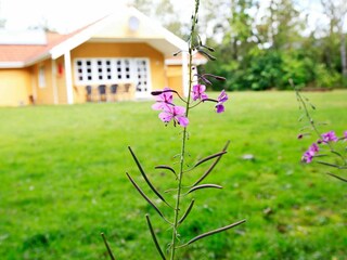 Holiday house Jegum  25