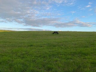 Casa per le vacanze Bønnerup Strand  15