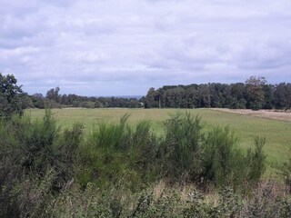 Vakantiehuis Bønnerup Strand  17