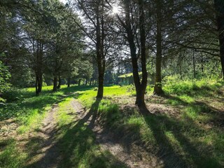 Maison de vacances Blokhus  11