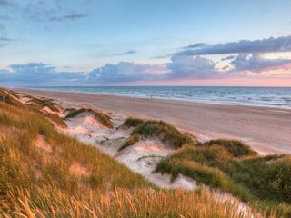 Vakantiehuis Blokhus  15