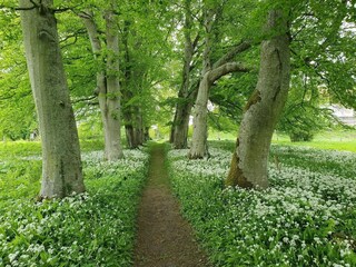 Holiday house Ørslevkloster  35