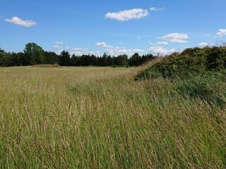 Holiday house Ørslevkloster  21