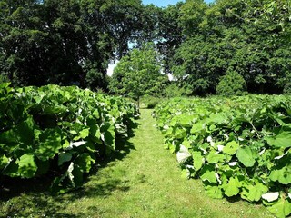 Vakantiehuis Ørslevkloster  33