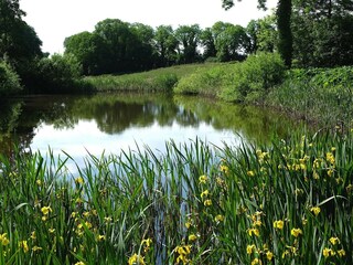 Casa de vacaciones Ørslevkloster  29