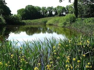 Maison de vacances Ørslevkloster  28