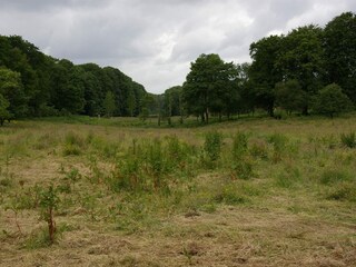 Holiday house Ørslevkloster  30