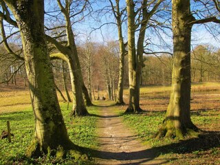 Casa de vacaciones Ørslevkloster  31