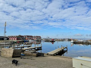 Vakantiehuis Bork Havn  6