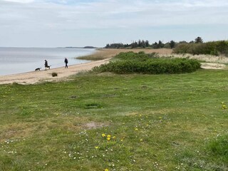 Casa per le vacanze Bork Havn  5