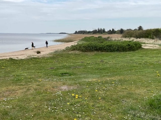 Holiday house Bork Havn  5