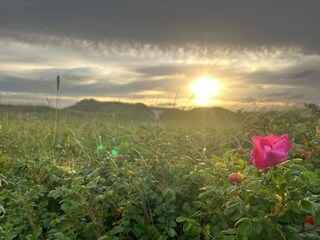 Casa per le vacanze Blåvand  21