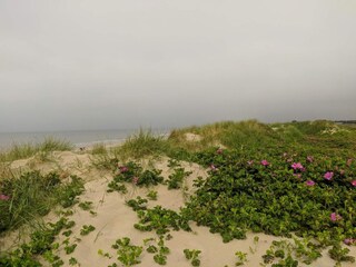 Casa per le vacanze Blåvand  21