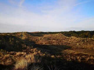 Casa per le vacanze Blåvand  24