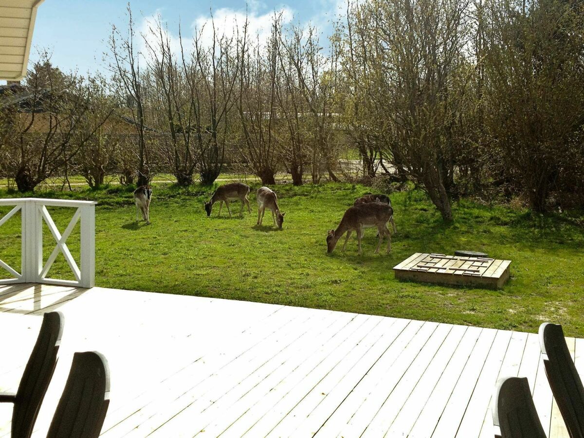 Casa per le vacanze Blåvand  1