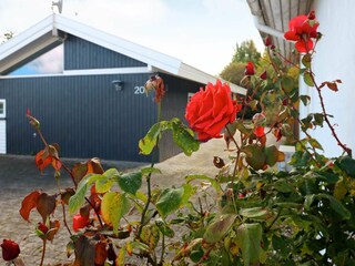 Holiday house Frørup  14