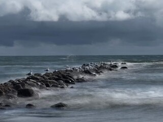 Vakantiehuis Blåvand  43