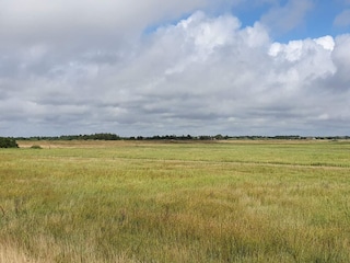Casa per le vacanze Blåvand  12