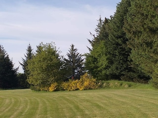 Ferienhaus Arrild  4