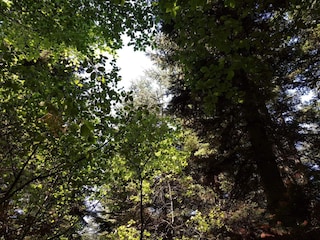 Ferienhaus Arrild  11