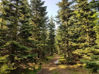 Casa de vacaciones Arrild  12