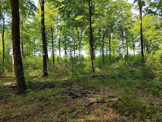 Holiday house Arrild  13