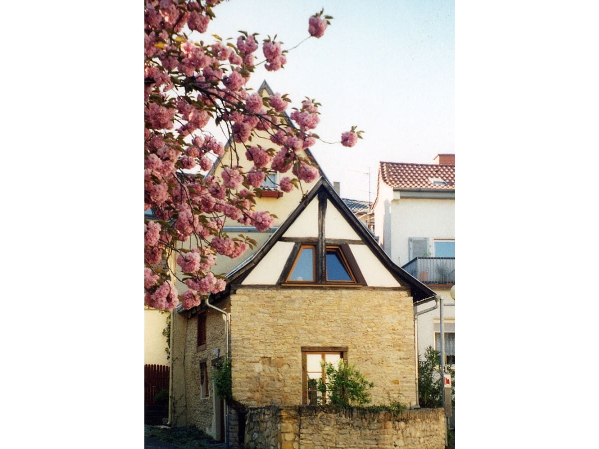 Zur Zeit der Kirschblüte.